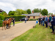 KS300622-68 - Kirtlington Stud Visit